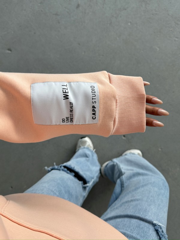 SWT-14274 Pudra Kol Etiket Detaylı Kapüşonlu Üç İplik Şardonlu Sweatshirt - 3